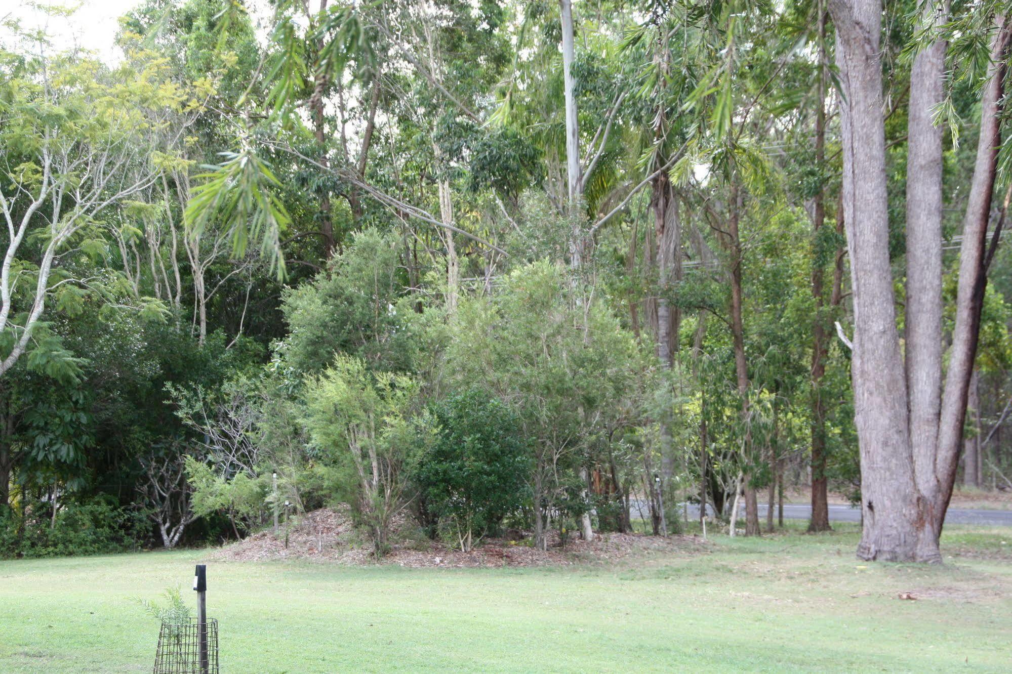 Bottlebrush B & B Maryborough Kültér fotó